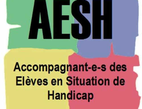 AESH : l’union fait la force. Venez le 1° juin !