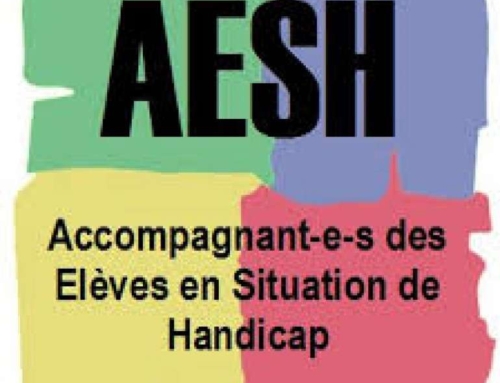 AESH : une conférence de presse pour alerter.