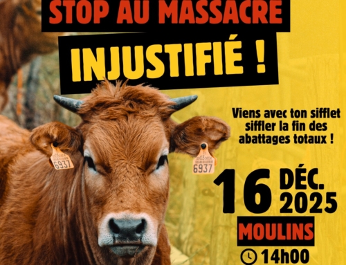 Dermatose nodulaire bovine : soutien à la Confédération paysanne 03.