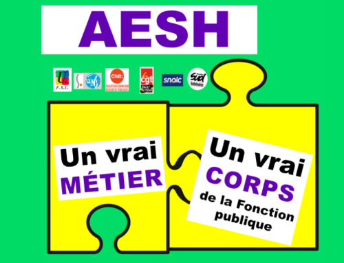 AESH : compte-rendu d&rsquo;audience.